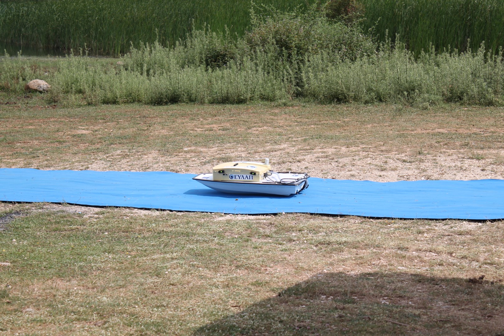 IMG 3550