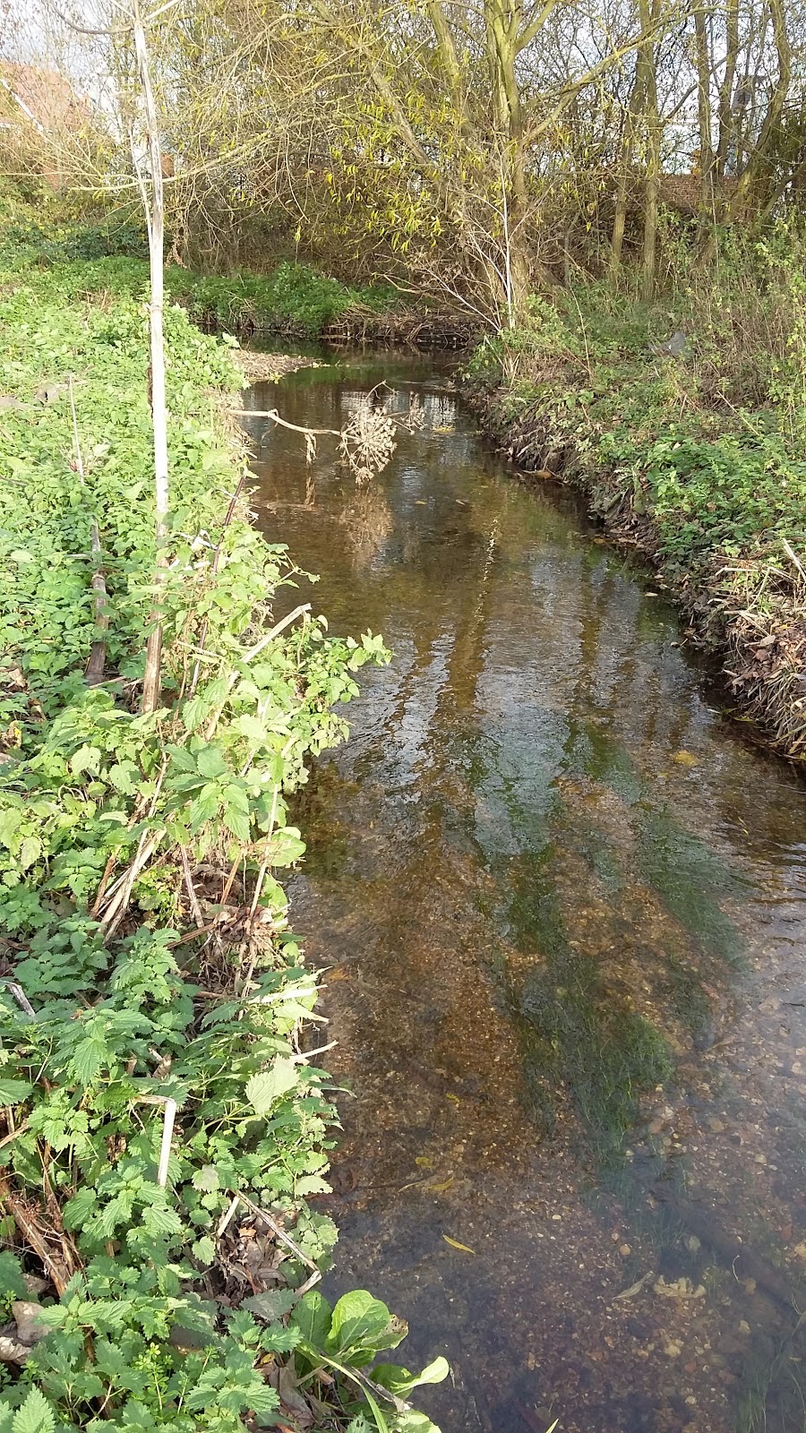 Urban Rivers 1