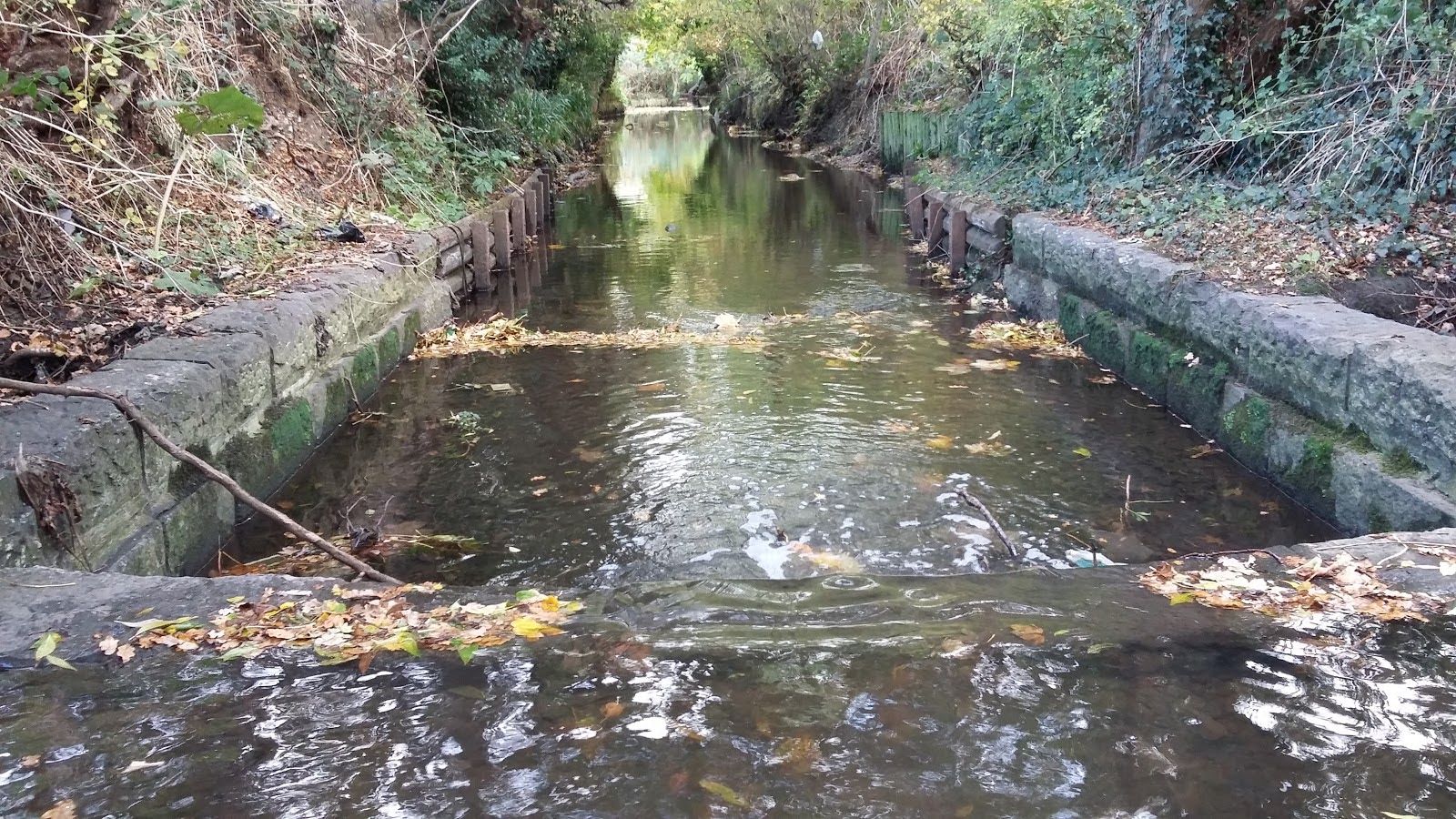 Urban Rivers 2